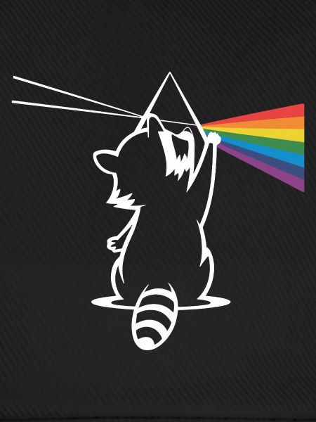 Waschbär Mit Prisma Und Regenbogen Spektrum