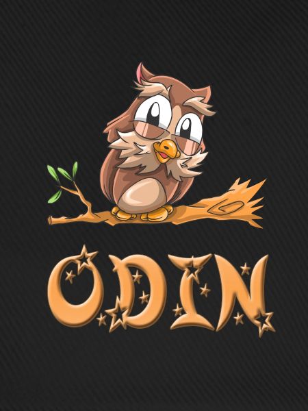 Eule Odin