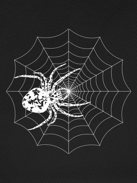 Spinnennetz Skizze mit Spinne
