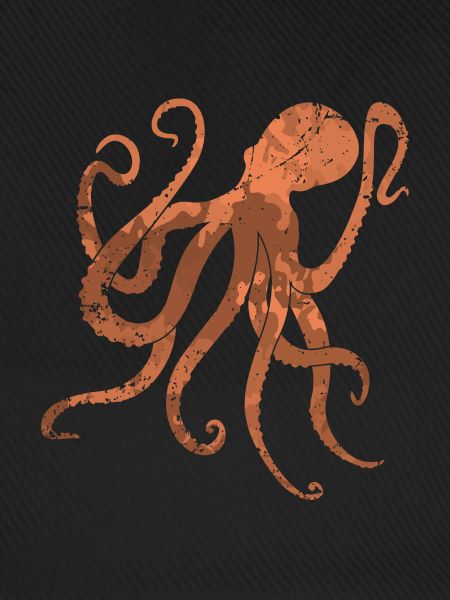 Oktopus