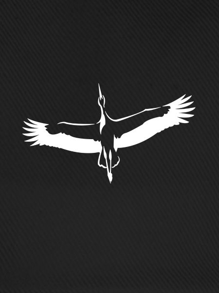 Storch