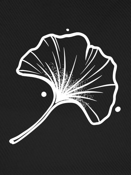 Blatt Ginkgo Weiß