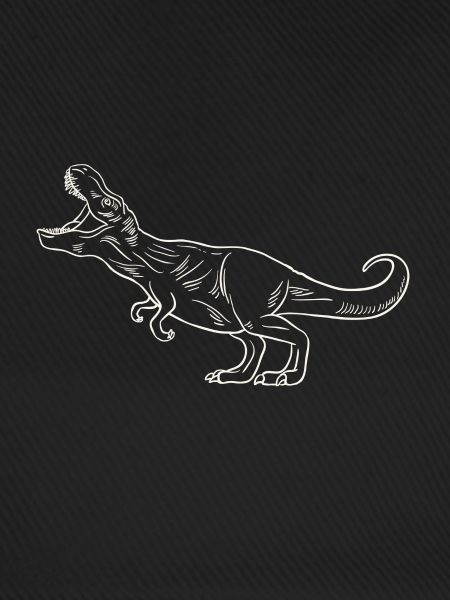 T-Rex - Dinosaurier - Dinosaurs