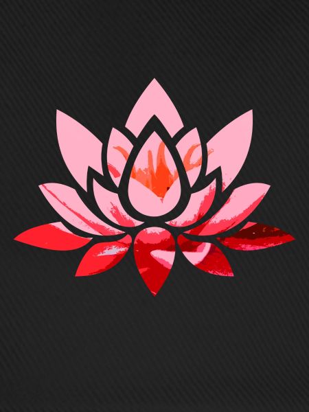 Lotus Blüte