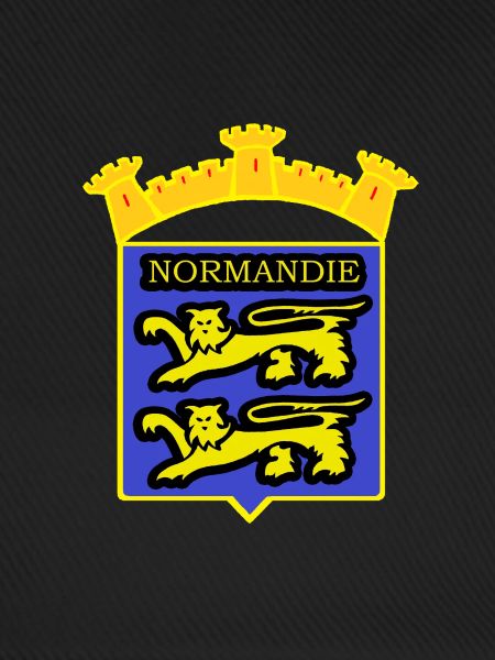 NORMANDY ABZEICHEN