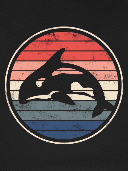 Orca Wal