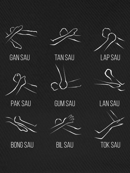 Wingtsun Wing chun