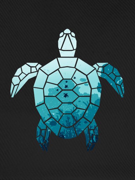 Schildkröte
