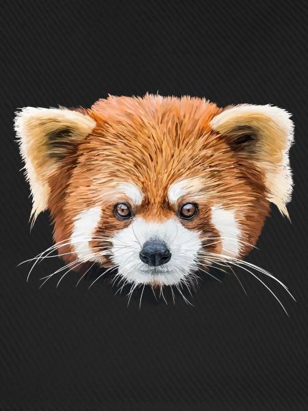 Roter Panda