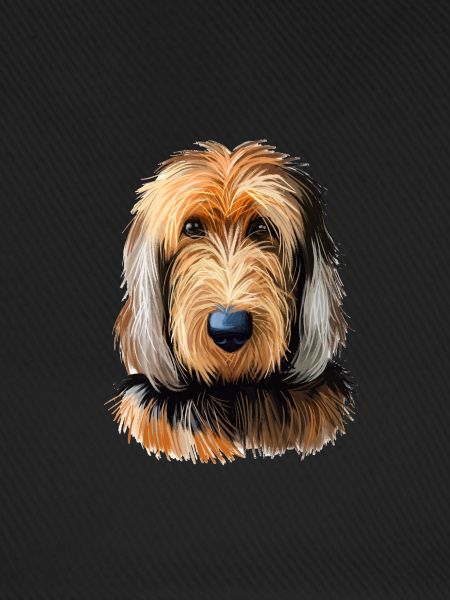 Otterhound Hund Aquarell Illustration