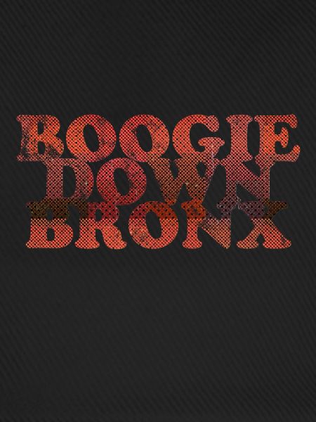 Boogie Down Bronx