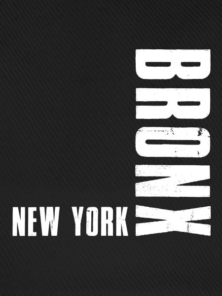Bronx New York
