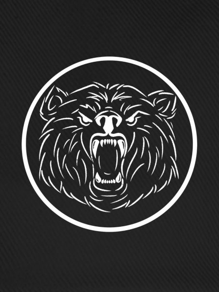 Bär Logo