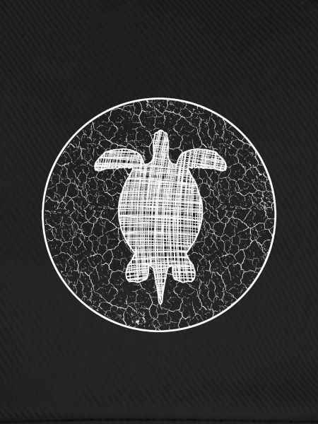 Turtle Schildkröte