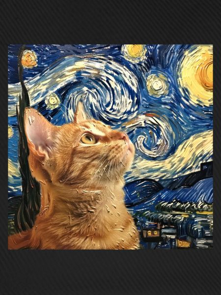 Katze, katzenmotiv
