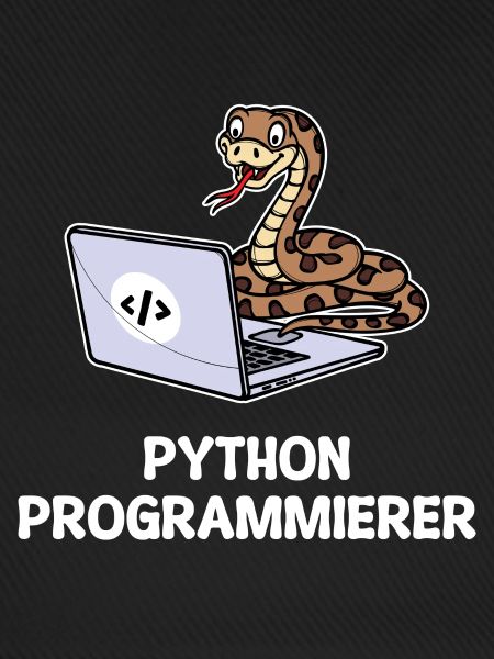 Developer Coden Statement Computer Programmierer