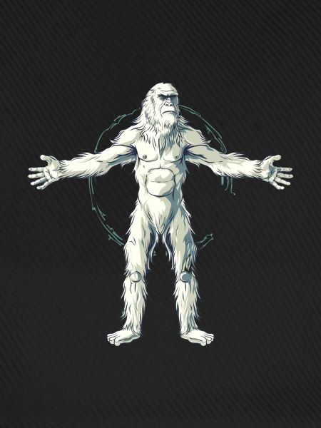 Yeti
