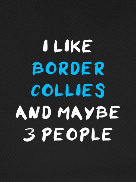 Border Collie