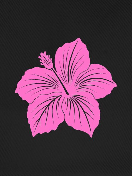 Hibiskusblüte
