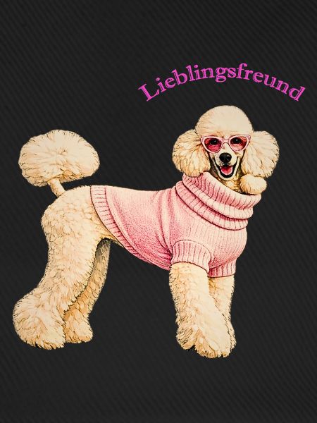 Lieblingsfreund Königspudel im rosa Pullover