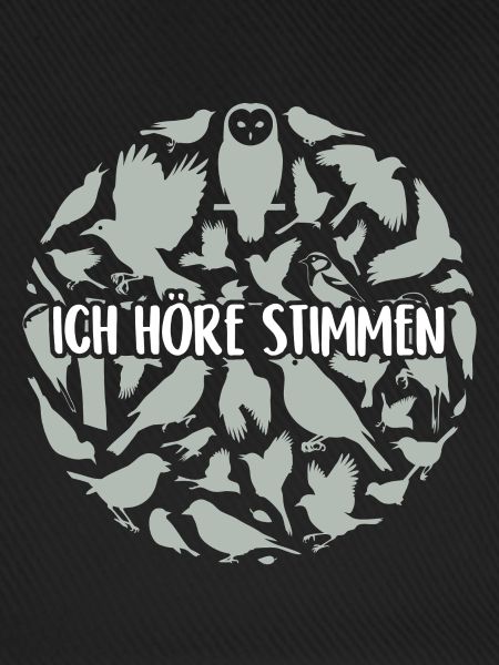 Ich höre Stimmen