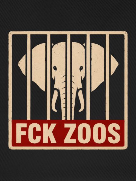 FCK Zoos Elefant
