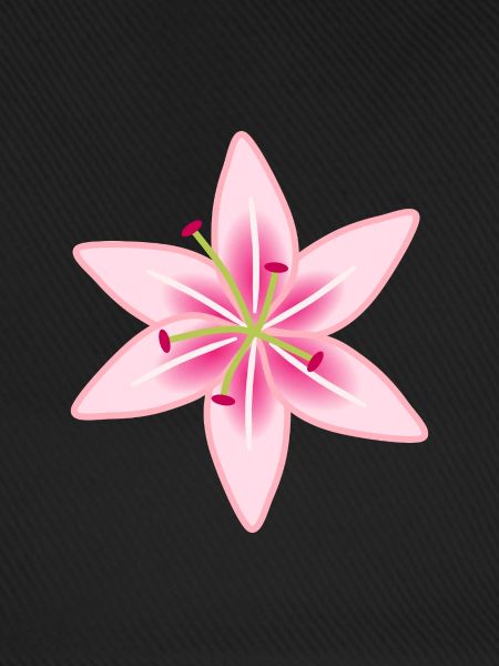 Rosa Lilien-Blumenillustration