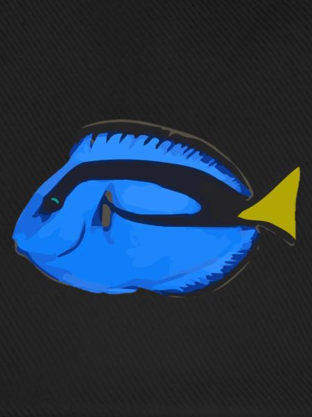 Paletten Doktorfisch