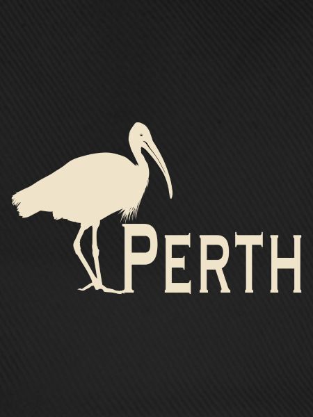 Bin Chicken Perth
