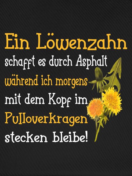 Ein Löwenzahn