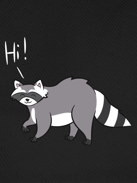 Waschbär - Hi