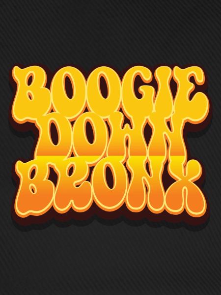 Boogie Down Bronx
