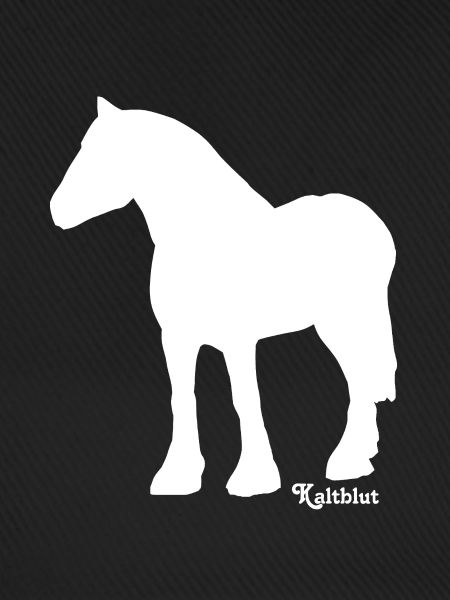 schimmel-kaltblut