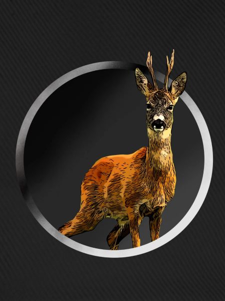Reh