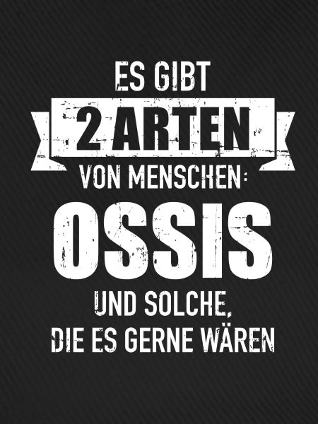 Ossi