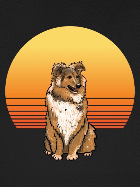Sheltie Sun