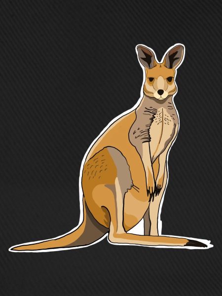 Känguru