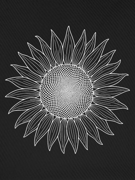 Sonnenblume