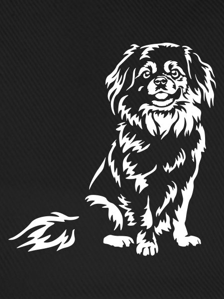 Tibetspaniel "Black Edition"
