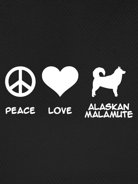 Alaskan Malamute