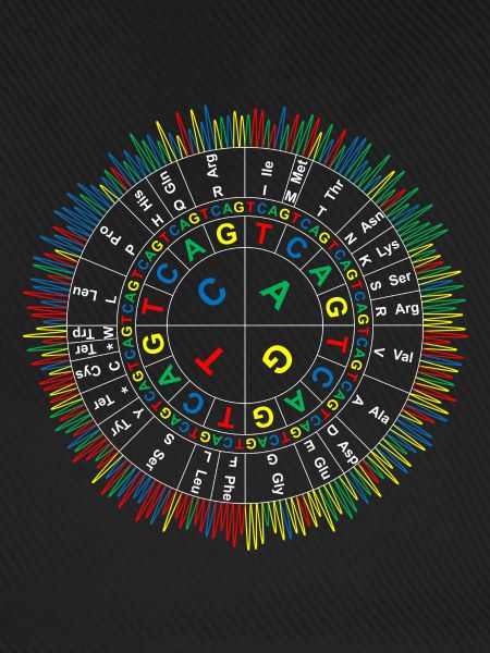 Sanger Codon Circle (dunkler Hintergrund)