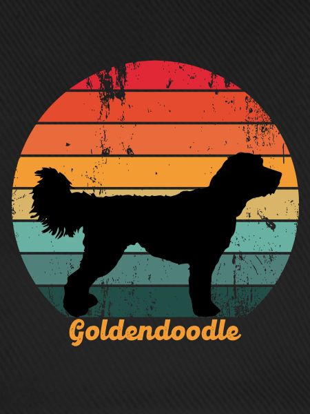 Retro Goldendoodle
