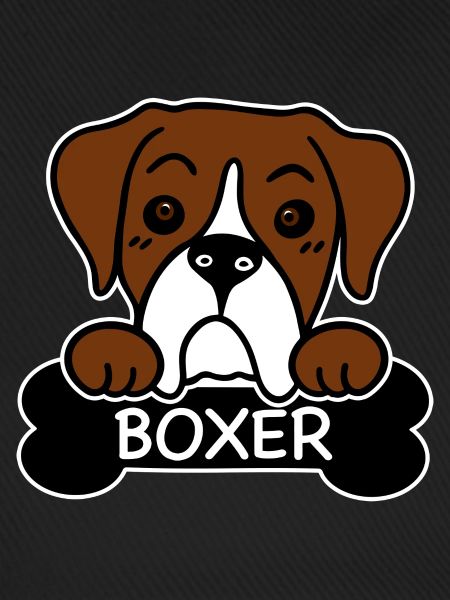 Boxer und Knochen