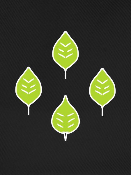 vier Blätter blatt grün natur