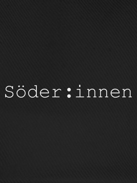 BAYERN SÖDER SPRACHE GENDERN