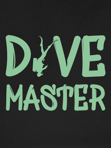 Dive Master Diving Scuba Diver