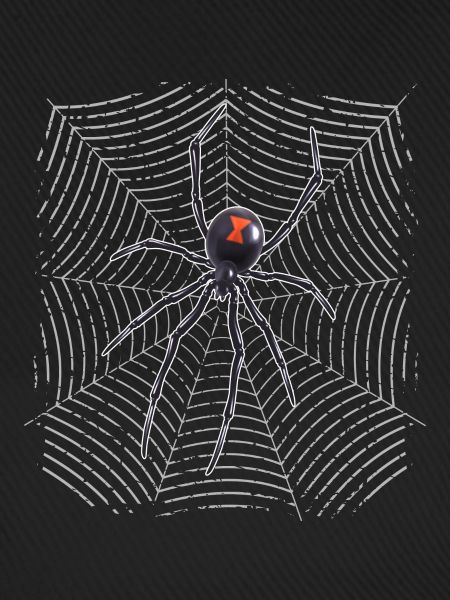 Spinne im Netz