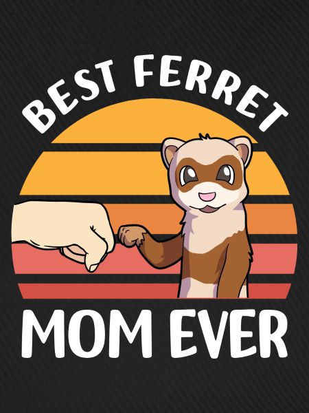 Frettchen Liebhaber Geschenke | Haustiere Tiere