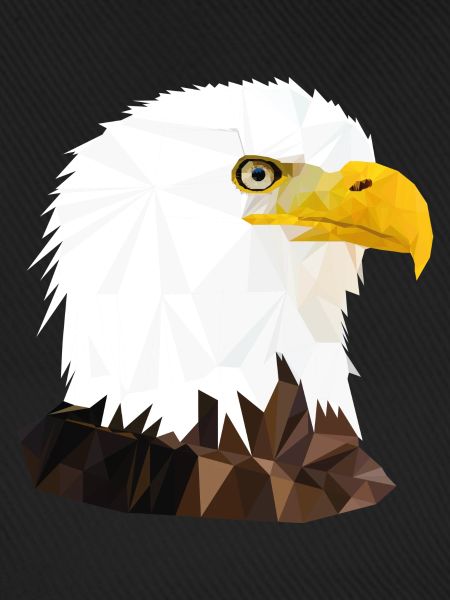 ADLER/ POLYGON