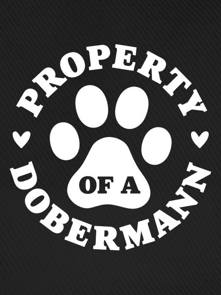 Eigentum eines Dobermanns